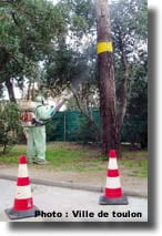 traitement à l'atomiseur dorsale traitement à l'atomiseur dorsale