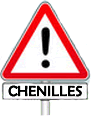 Attention les chenilles processionnaires du pin et du chene sont urticante