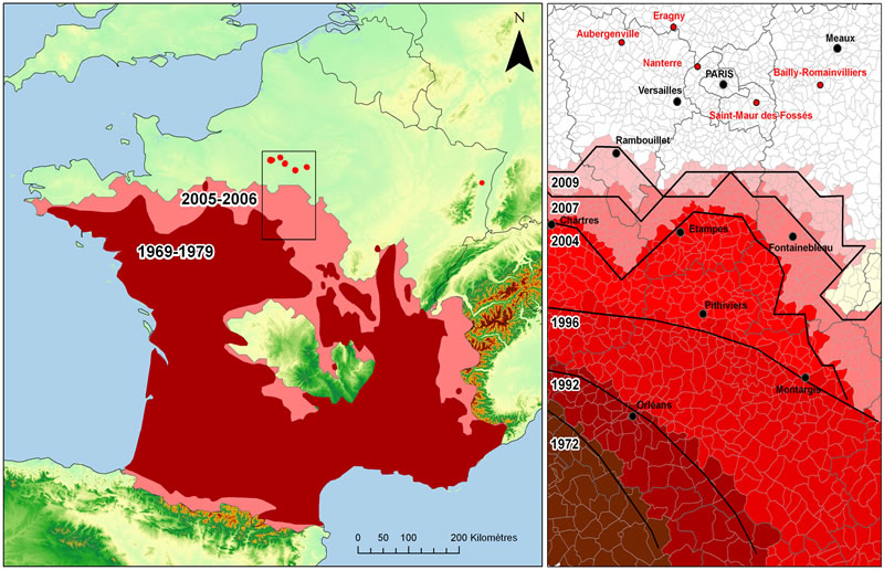 Evolution de la chenille processionnaire du pin en France Evolution de la chenille processionnaire du pin en France